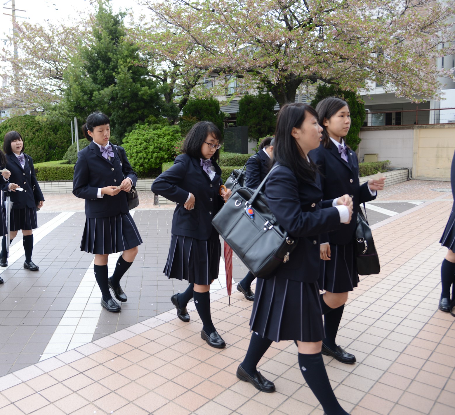 ニュース トピックス 大阪で美容師 保育士 資格取得をめざすなら香ヶ丘リベルテ高等学校
